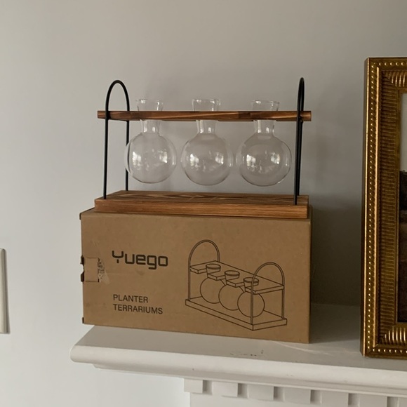 Yuego planter terrarium glass wooden new‎ in box - Picture 8 of 12